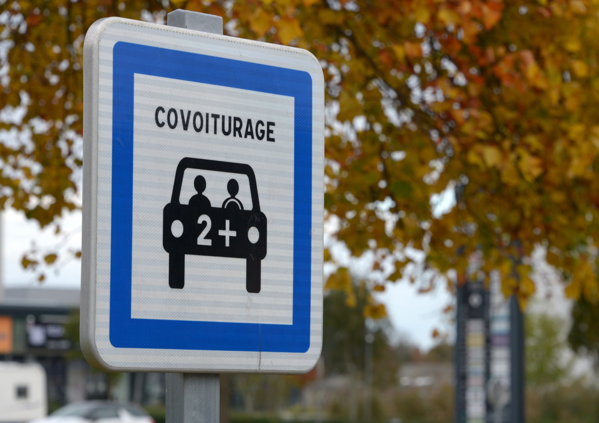 SUM thumbnails website (4)